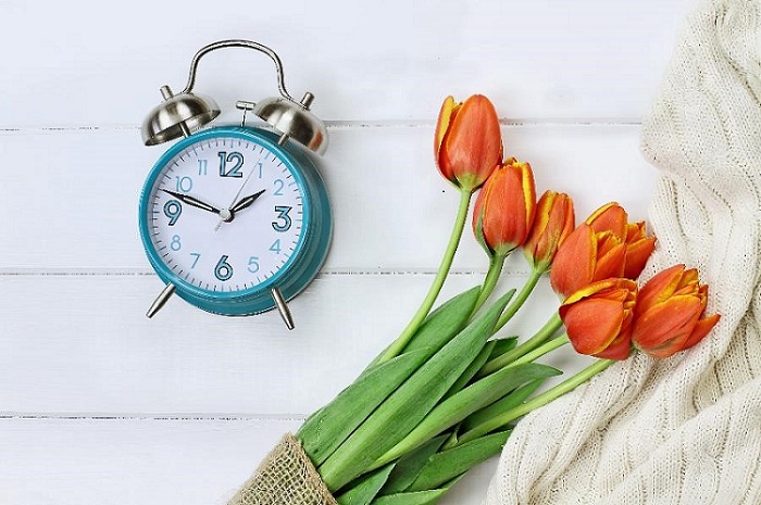 alarm clock laying next to a bouquet of tulips on a white wooden table